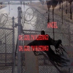 35 зим