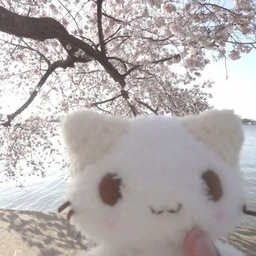Project_191/cutecutecuteee