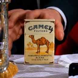 Camel