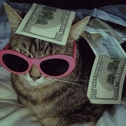 money dealer