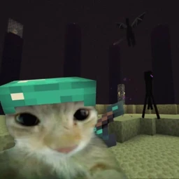 minecraft$wag