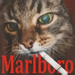 MARLBØRØ
