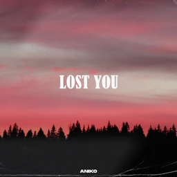 Lost You