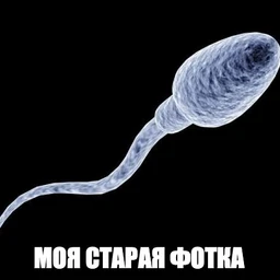 doslobodidoehat