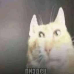 Убийца_смерти