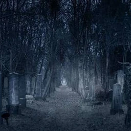 CURSED GRAVES
