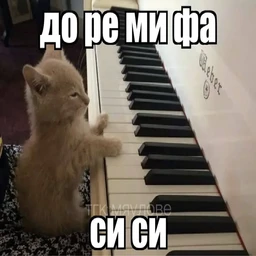 арбузы
