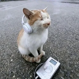 routine