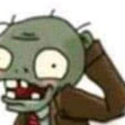 зондбяк
