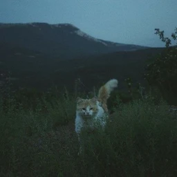 Дальше - хуже