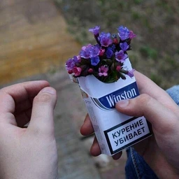 я люблю курить