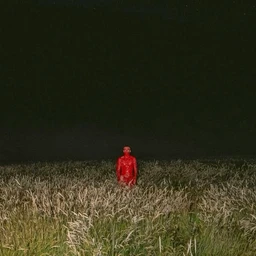 red mist