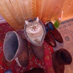 warm god