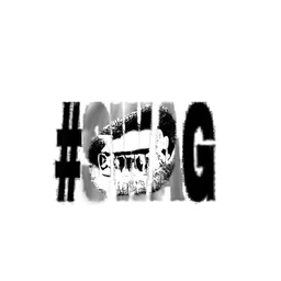 D&G