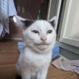 выход