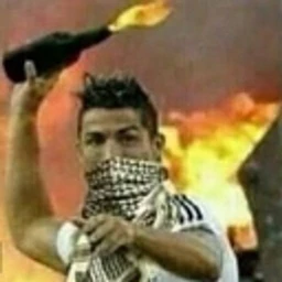 arab vzbesilsya