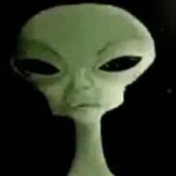 kuoryy