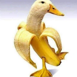 XENTAI