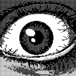 8bit