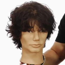 MODEL