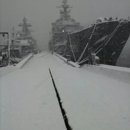 arctic