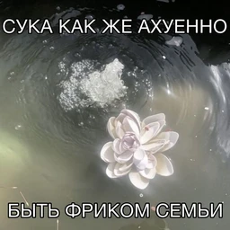 blossom