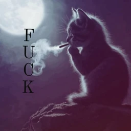 f*ck