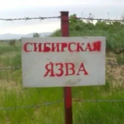 не в порядке