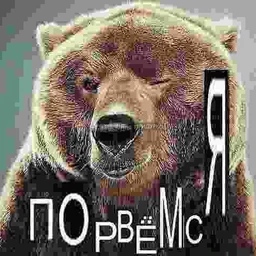 спокойной ночи