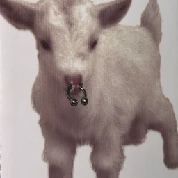 БАНКА
