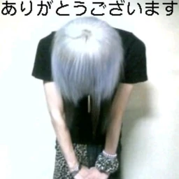kurai katai maoricore