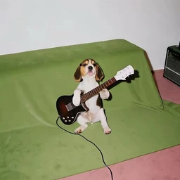 RNR