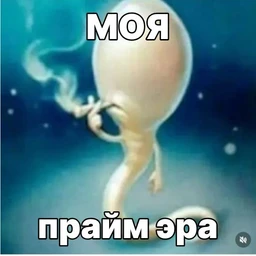 koncha