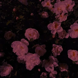 17:56