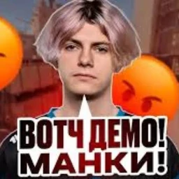 skripka flou