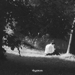 Fallen