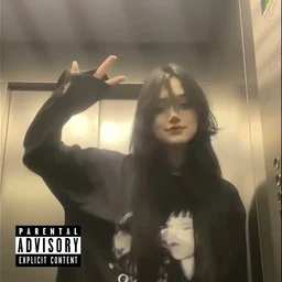 Punk