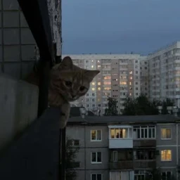 Космос в глазах