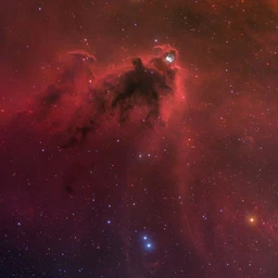 ORION