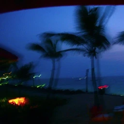 summer night
