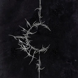 Diograma