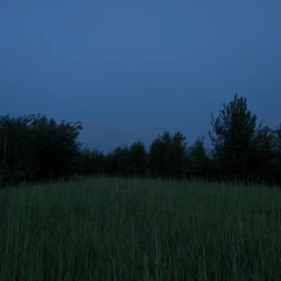twilight