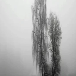 ПaDШNЙ_К0Р0Лb