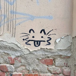 171717
