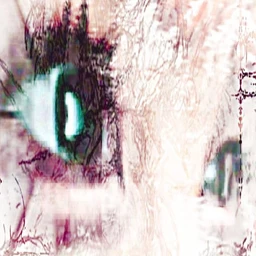 eye