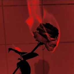 "Burn" - Lil Peep X Juice WRLD