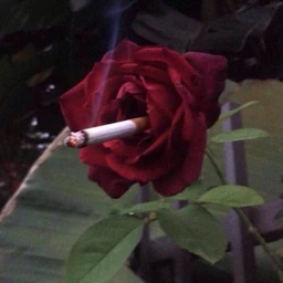 sample + jerk type beat *4ever