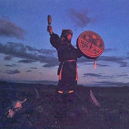 shaman jerk