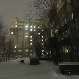 курители