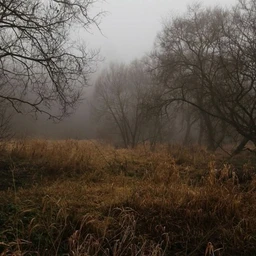 i miss october
